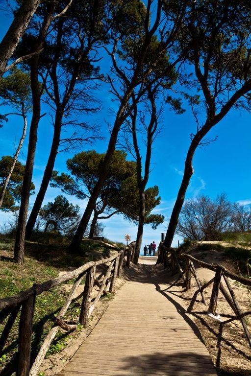 L' Escala Casa Con Jardin-Wifi Freeヴィラ エクステリア 写真